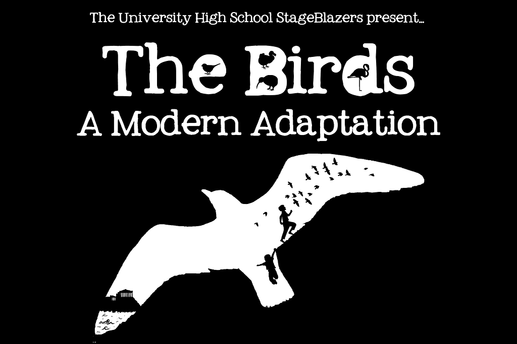 BirdsWebsite