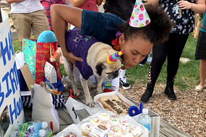 Hank-Birthday-Party
